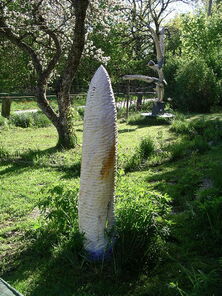 IMGP 3361, h 153 cm